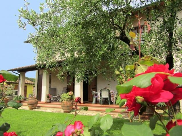 Casa Vacanze Lulu Camaiore Exterior photo